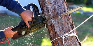 Best Firewood Processing and Delivery  in Bing, OR