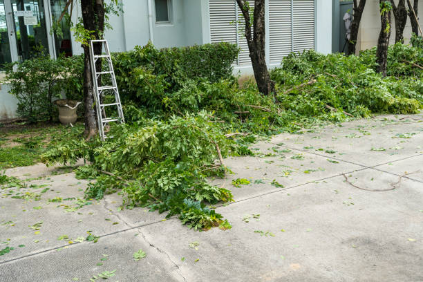 Best Aeration Services  in Bing, OR